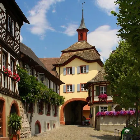 Kaiserstuhlblick 아파트 *